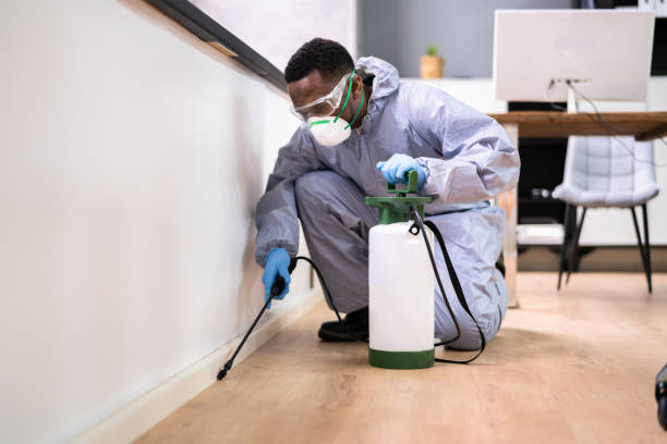 Professional Pest control in Ortonville, MI